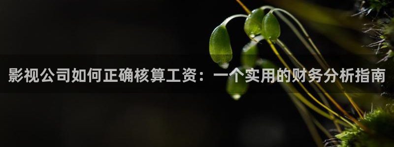 茄子视频app在线免费观看