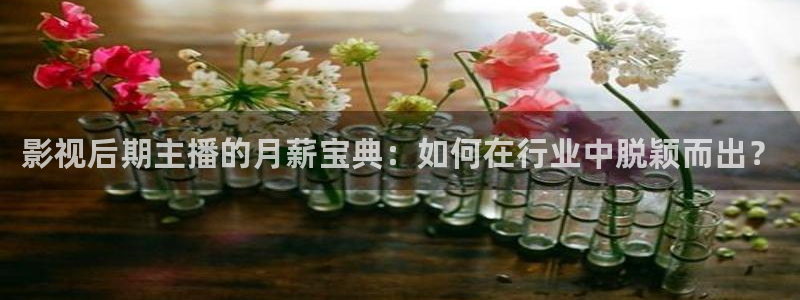 茄子视频下载安卓视频