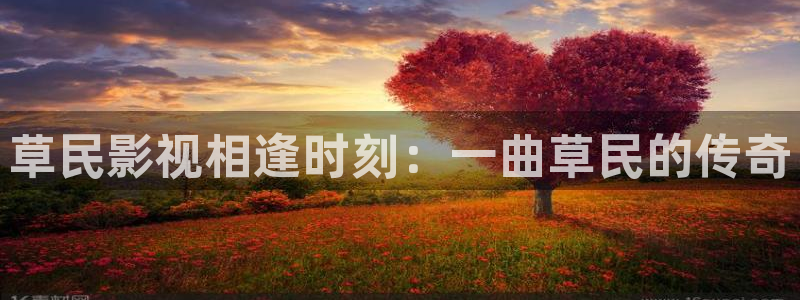 茄子视频官网在线播放
